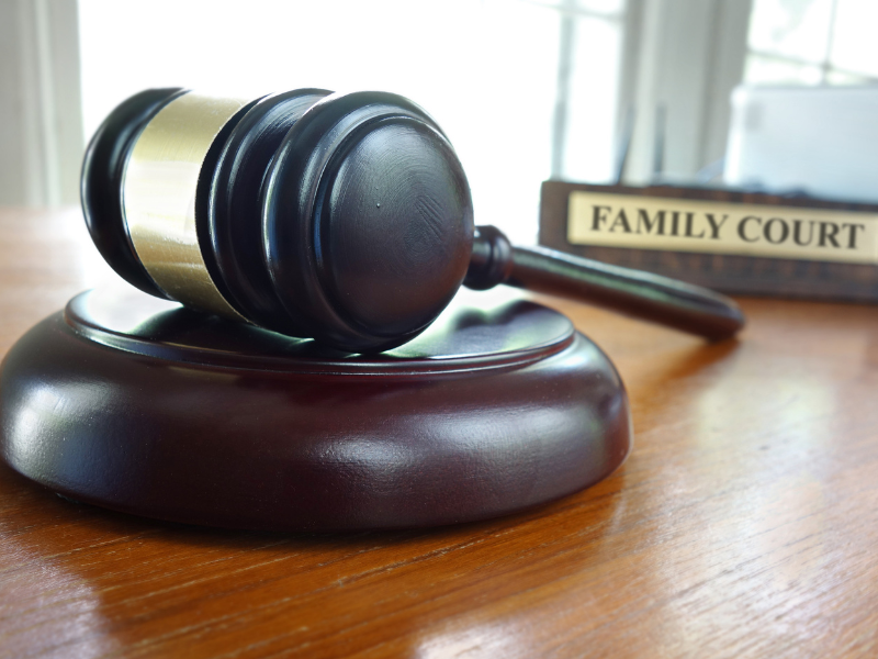 Comprehensive Guide to Navigate the Family Court System in NC